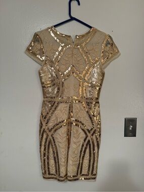 Lulu's Gold Sequin Mini Dress with Embroidered Lace